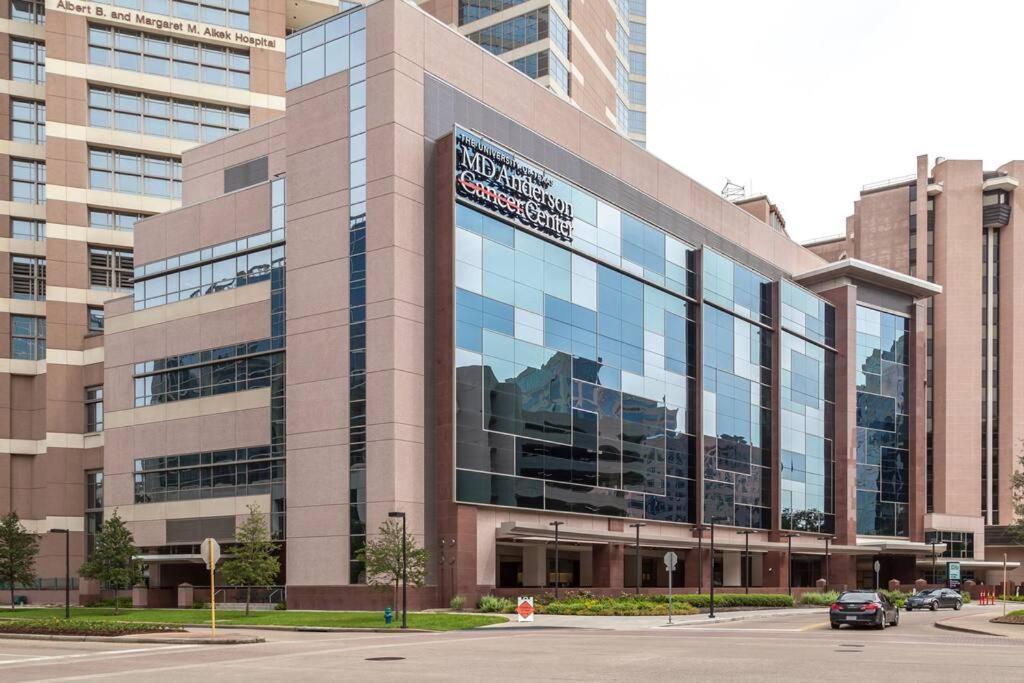 Stylish W Texas Flair Apt Close To Med Ctr Nrg Downtown Daire *